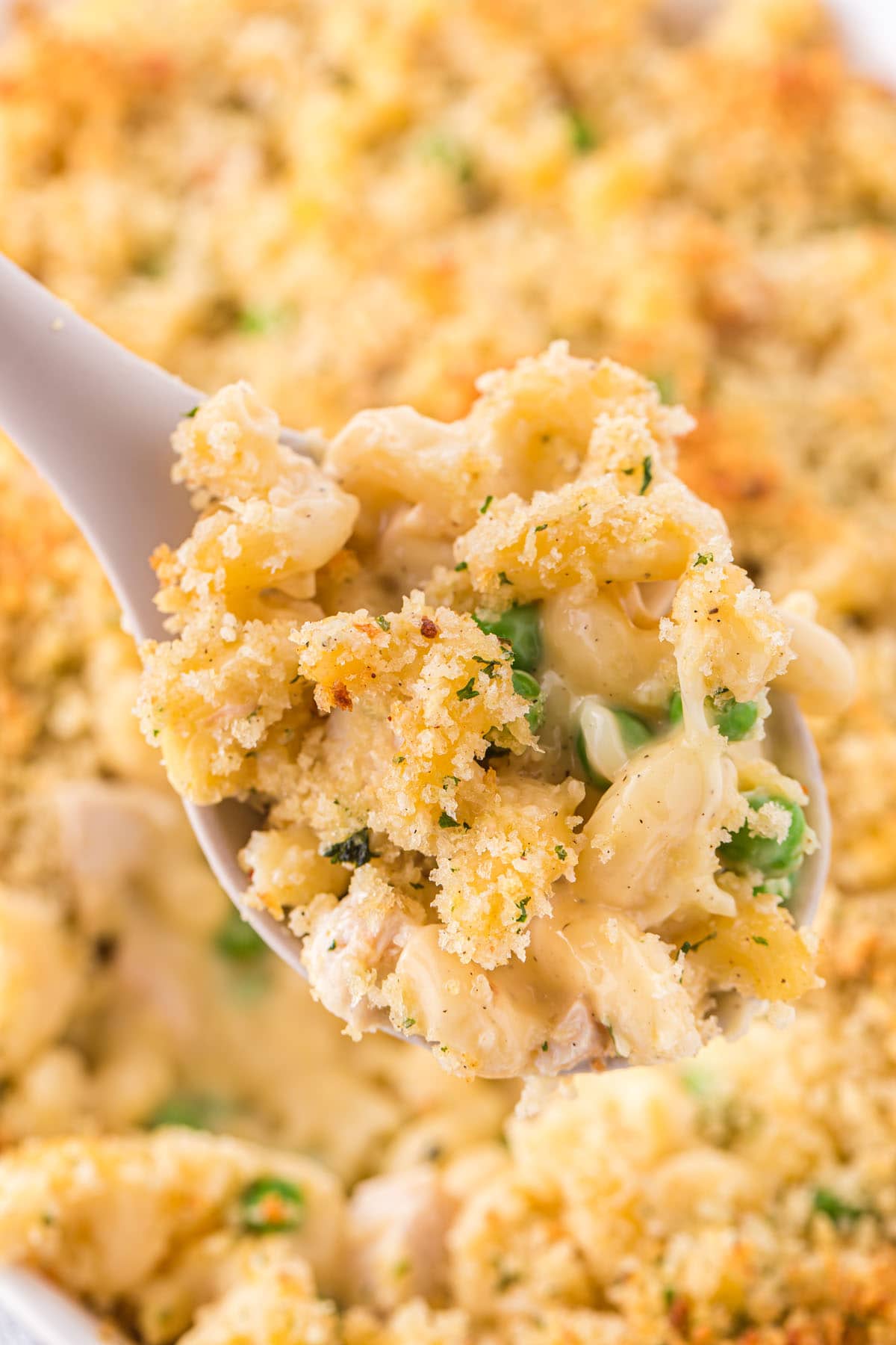 a spoonful of turkey with macaroni
