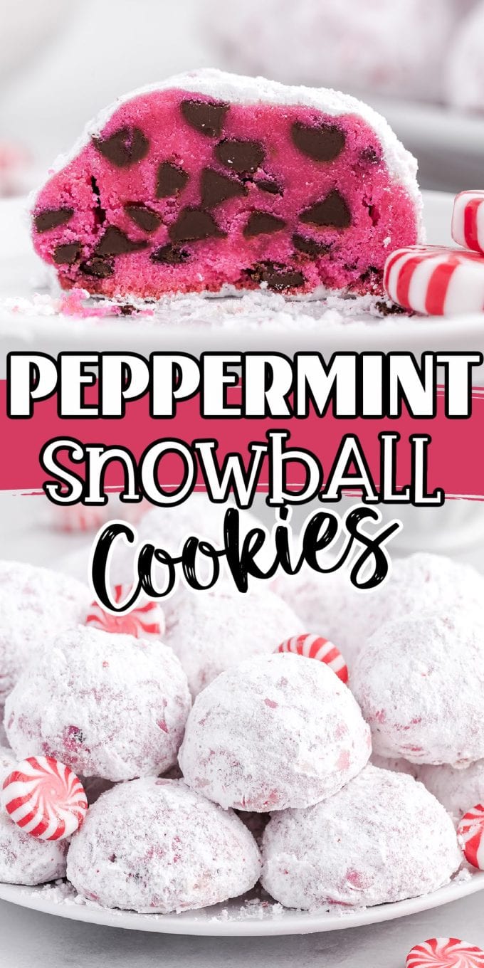 Peppermint Snowball Cookies pinterest