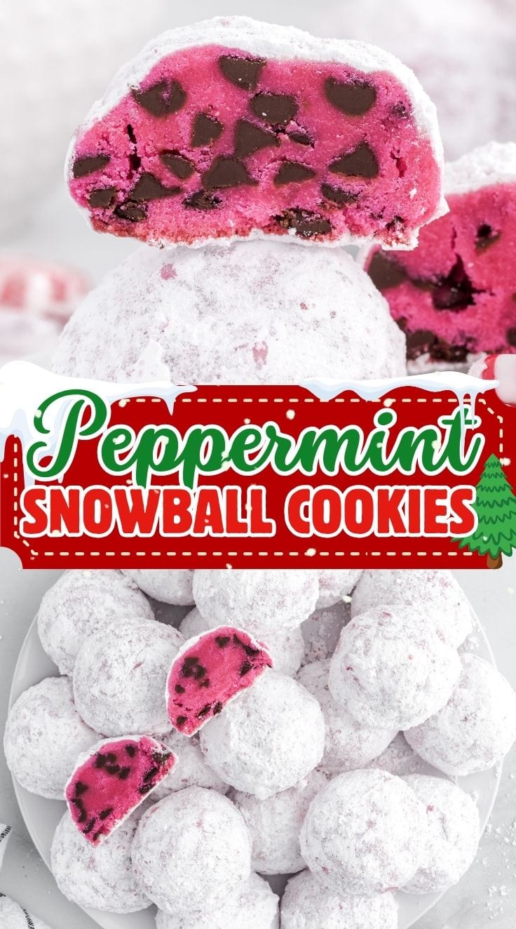 Half bitten peppermint snowball cookies coated with powdered sugar