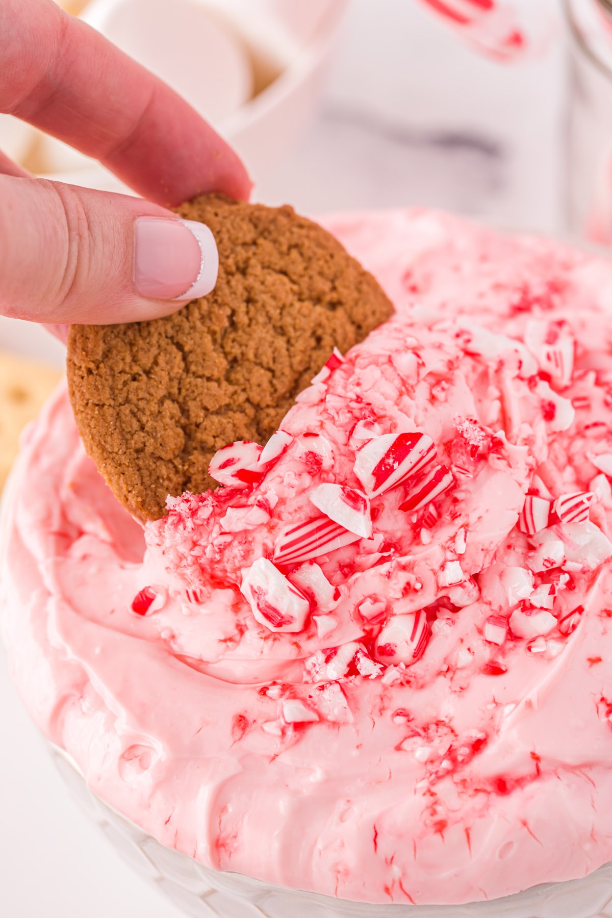cookie dipped in Candy Cane Dip
