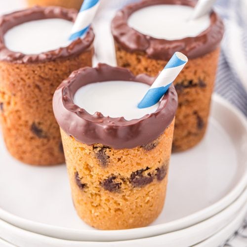 REVIEW: The Chocolate Chip Cookie Shot Glass Has An Added BONUS In