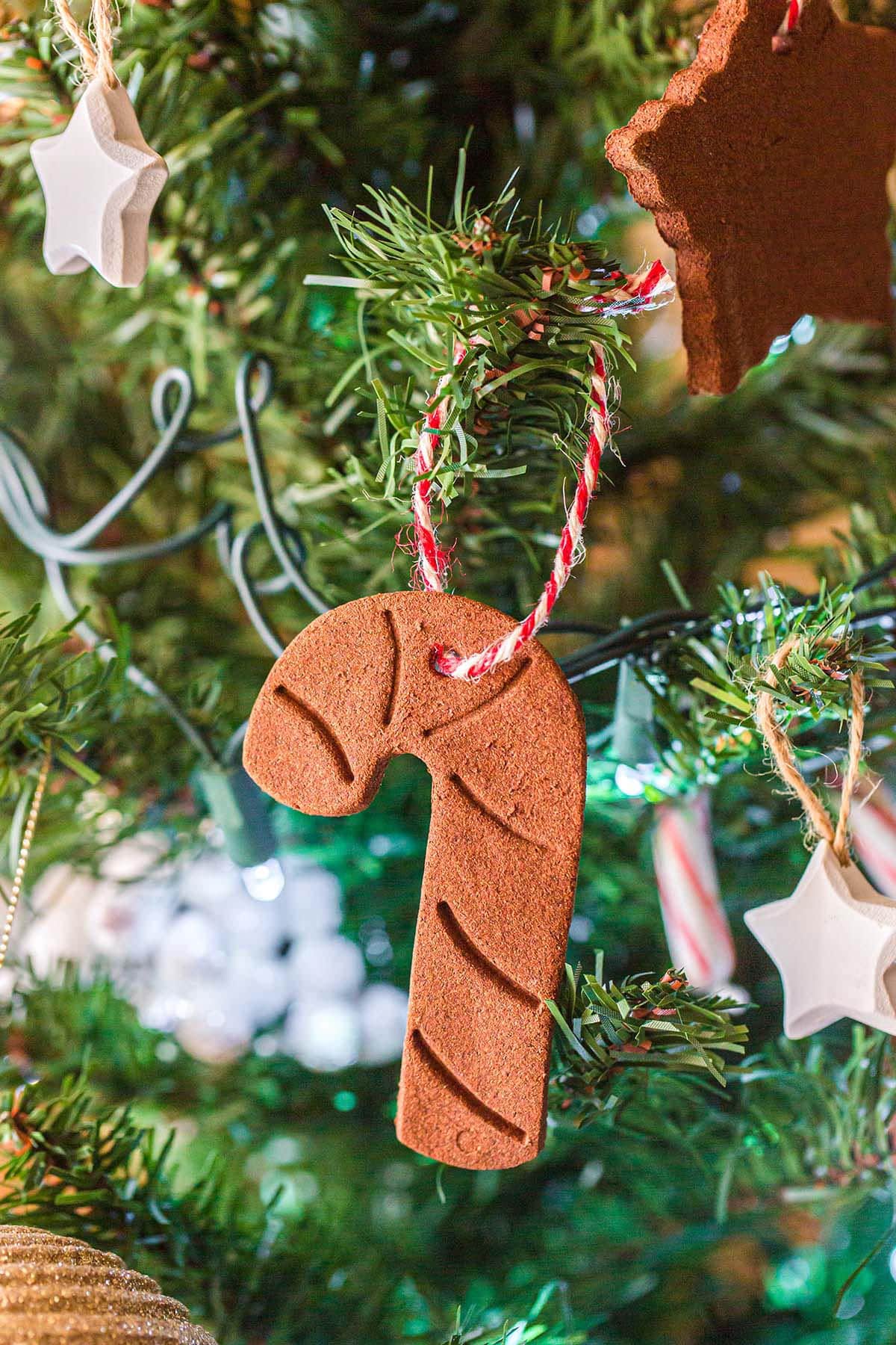 cinnamon ornaments in the shape of a candy cane hanging on a Christmas tree.