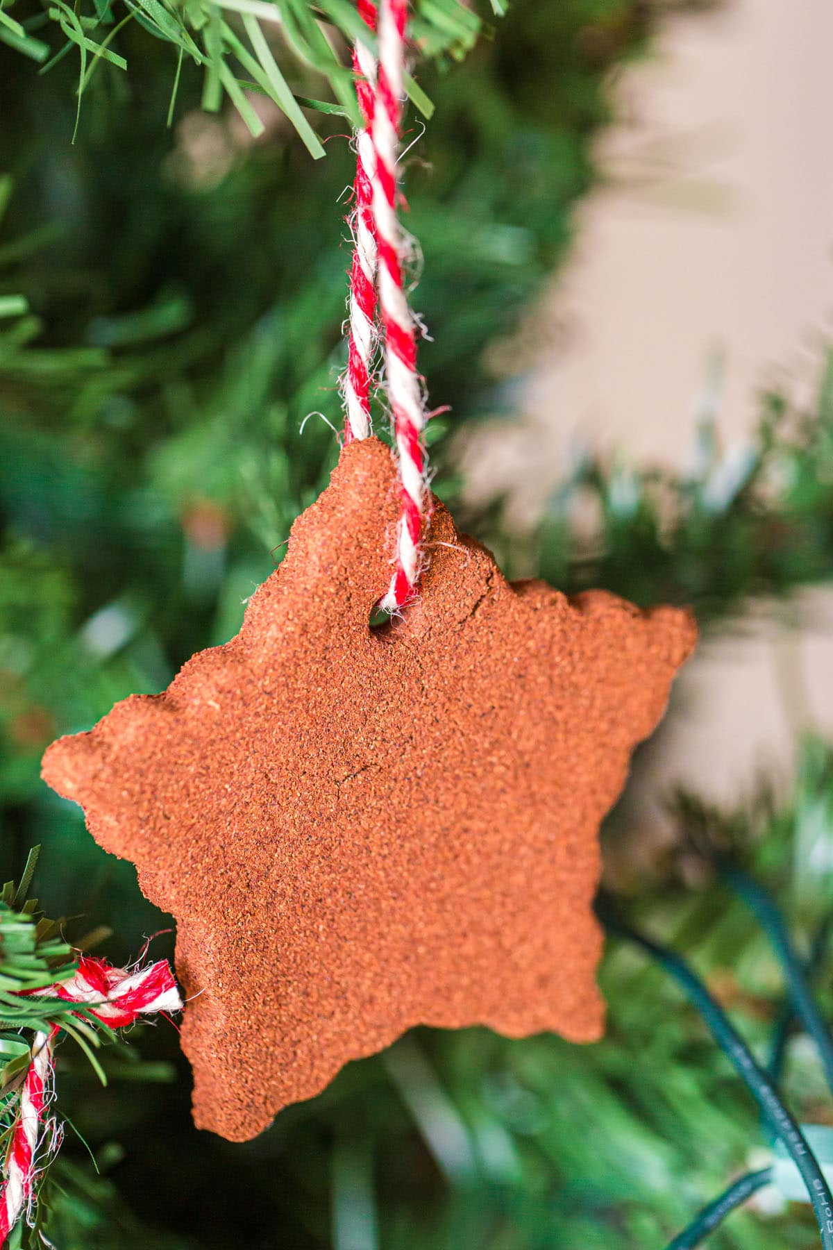 star shaped cinnamon ornaments hanging from a Christmas tree.