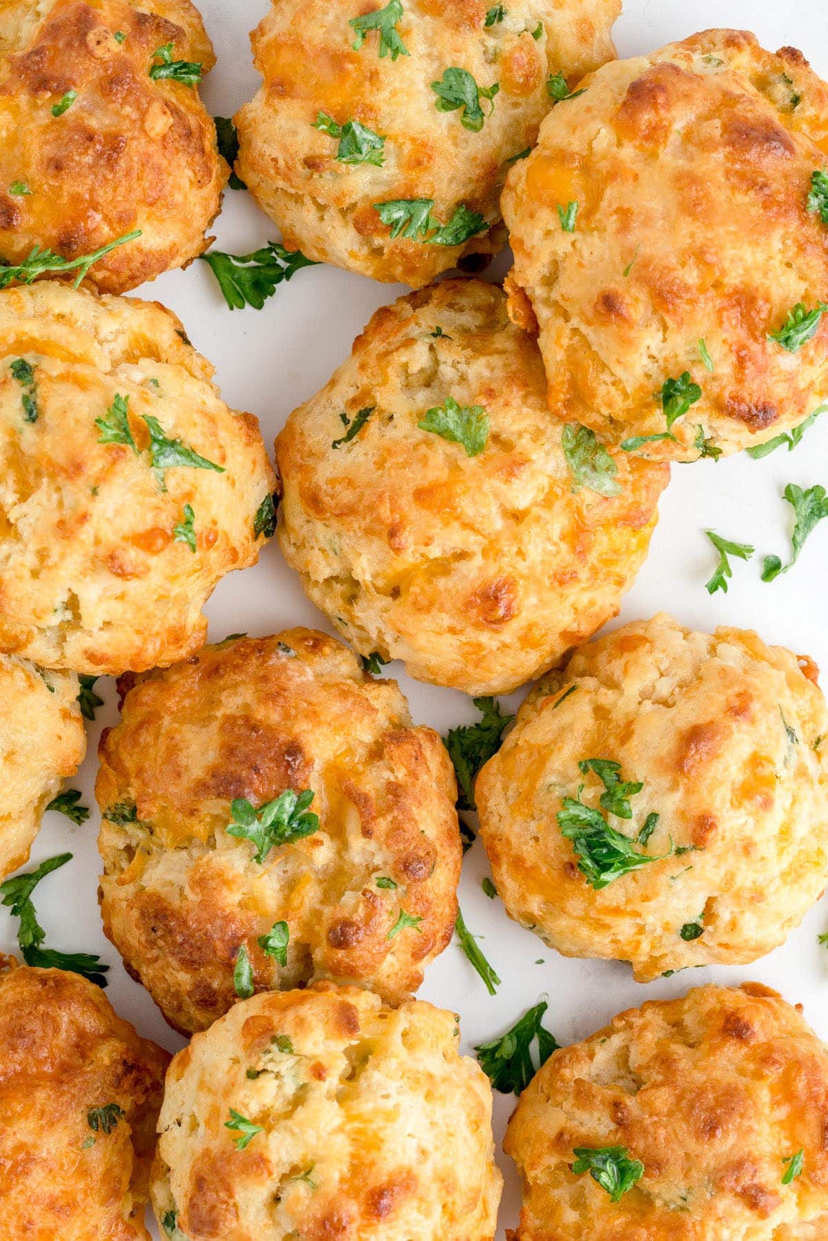 red lobster copycat biscuits garnish with parsley