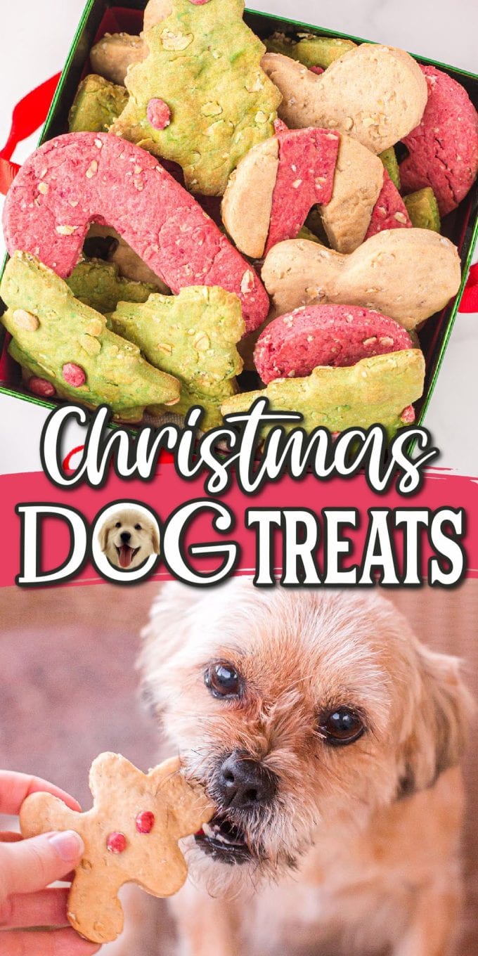 Christmas Dog Treats pinterest