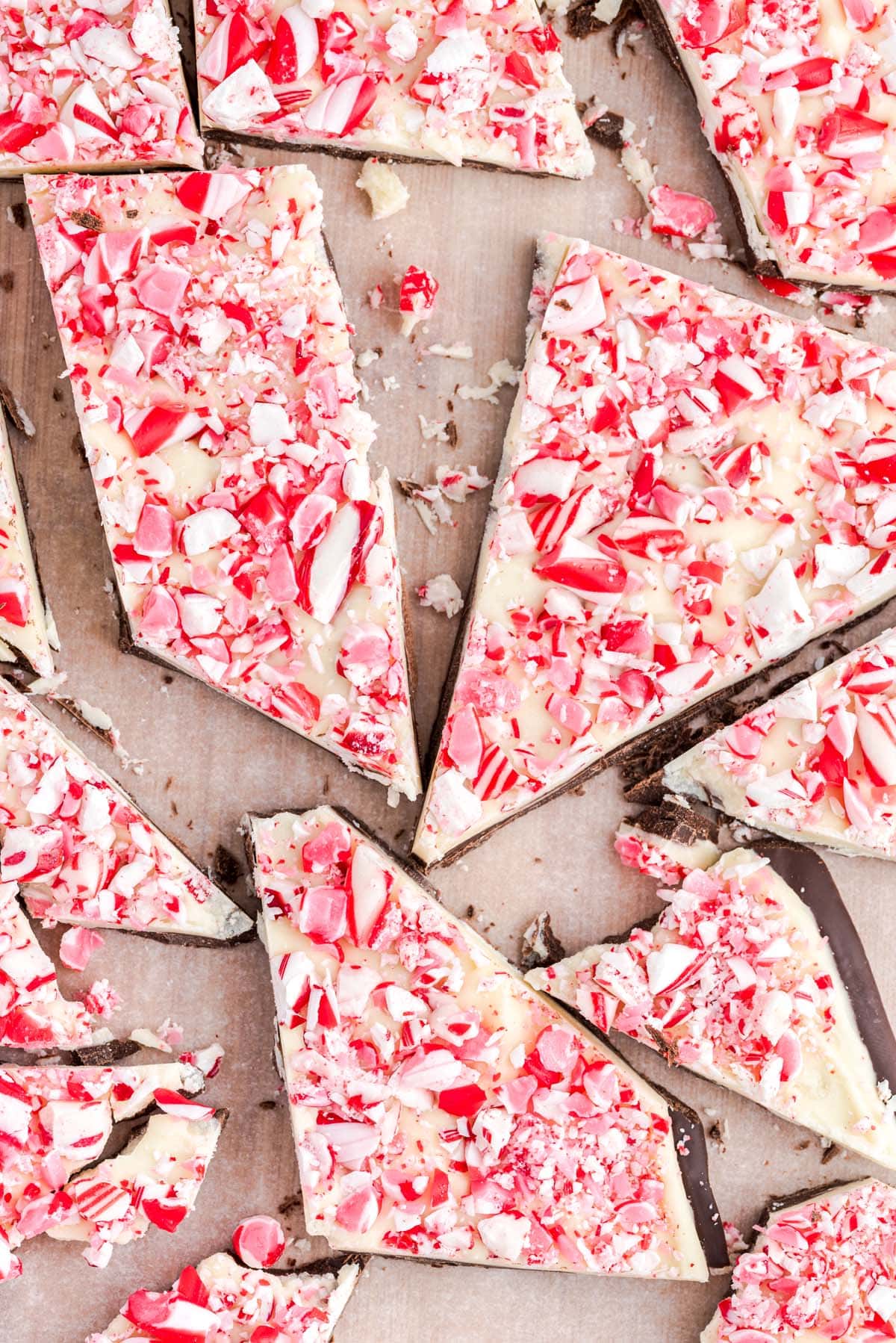 peppermint bark with candy canes