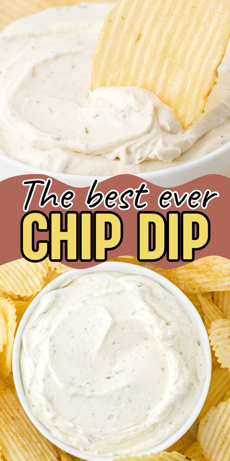 chip dip pin .
