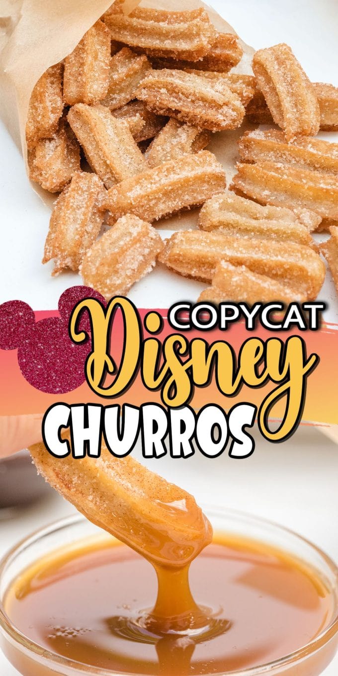 Copycat Disney Churros pinterest