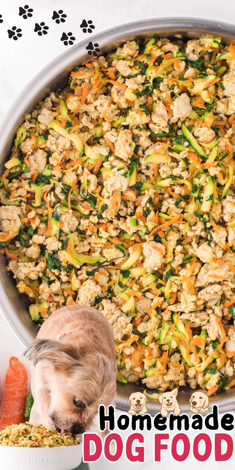 Top view of Homemade Dog Food in a pan.
