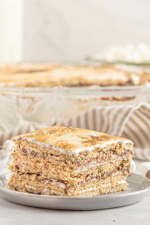 S’mores Icebox Cake - Princess Pinky Girl