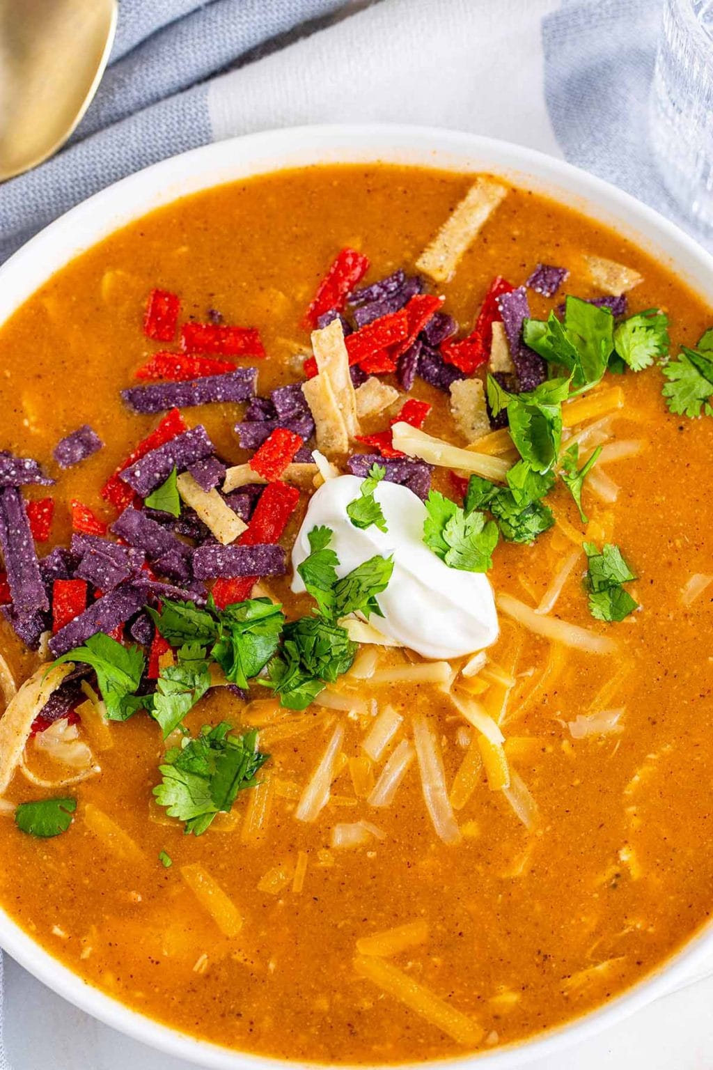 Chili's Chicken Enchilada Soup (Copycat Recipe) - Princess Pinky Girl