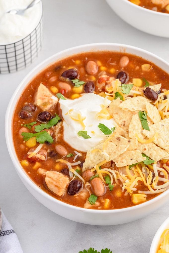 7 Can Chicken Taco Soup - Princess Pinky Girl