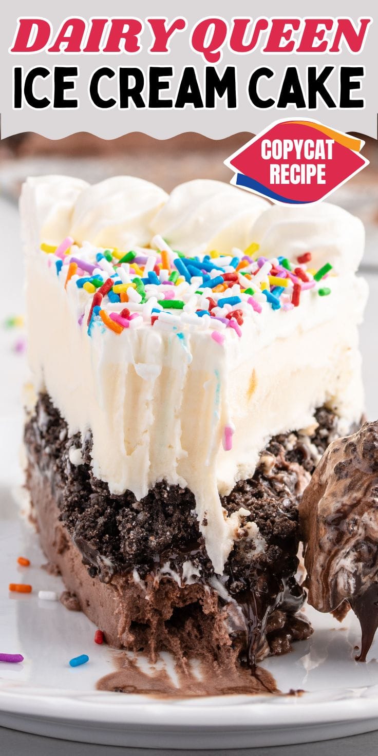 DQ ice cream cake pin.