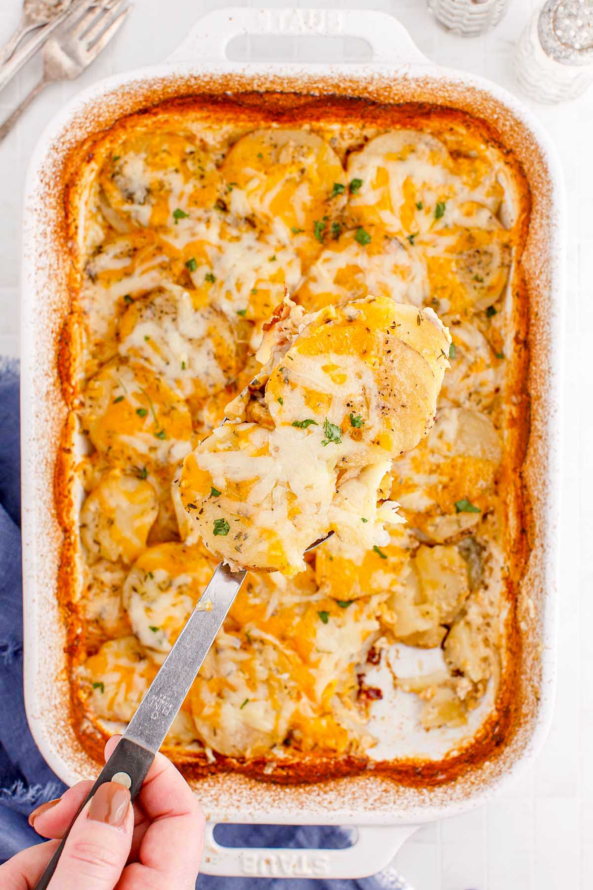 Potatoes Au Gratin in a baking dish with a spoon scooping out a portion.