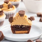 brownie cupcakes featured image