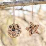 Birdseed Ornaments featured image