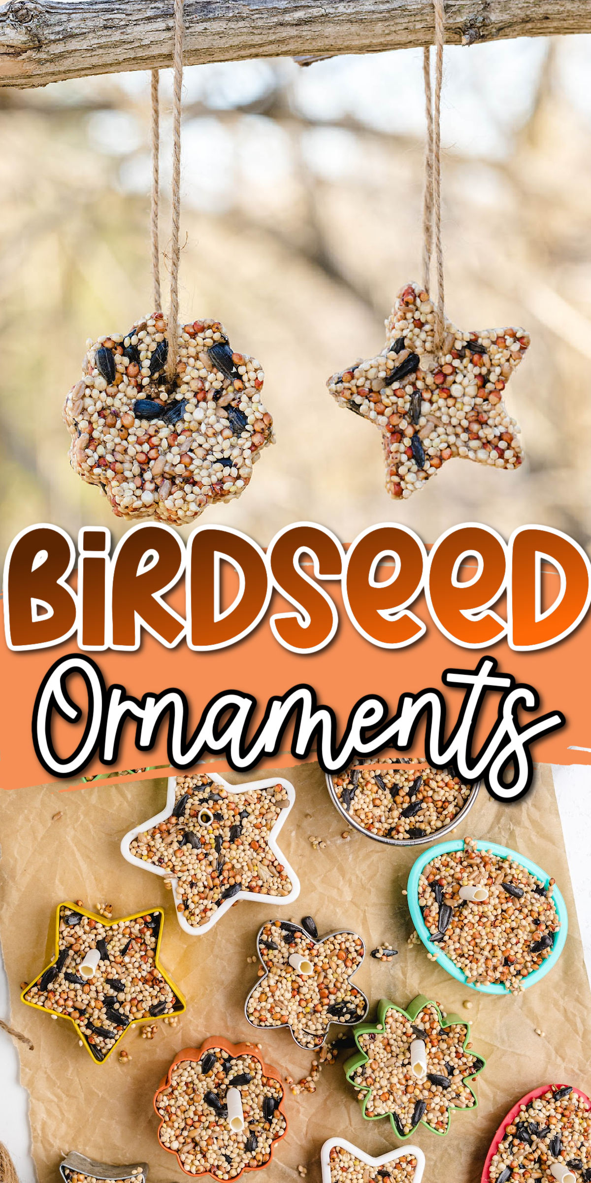 Birdseed Ornaments pinterest