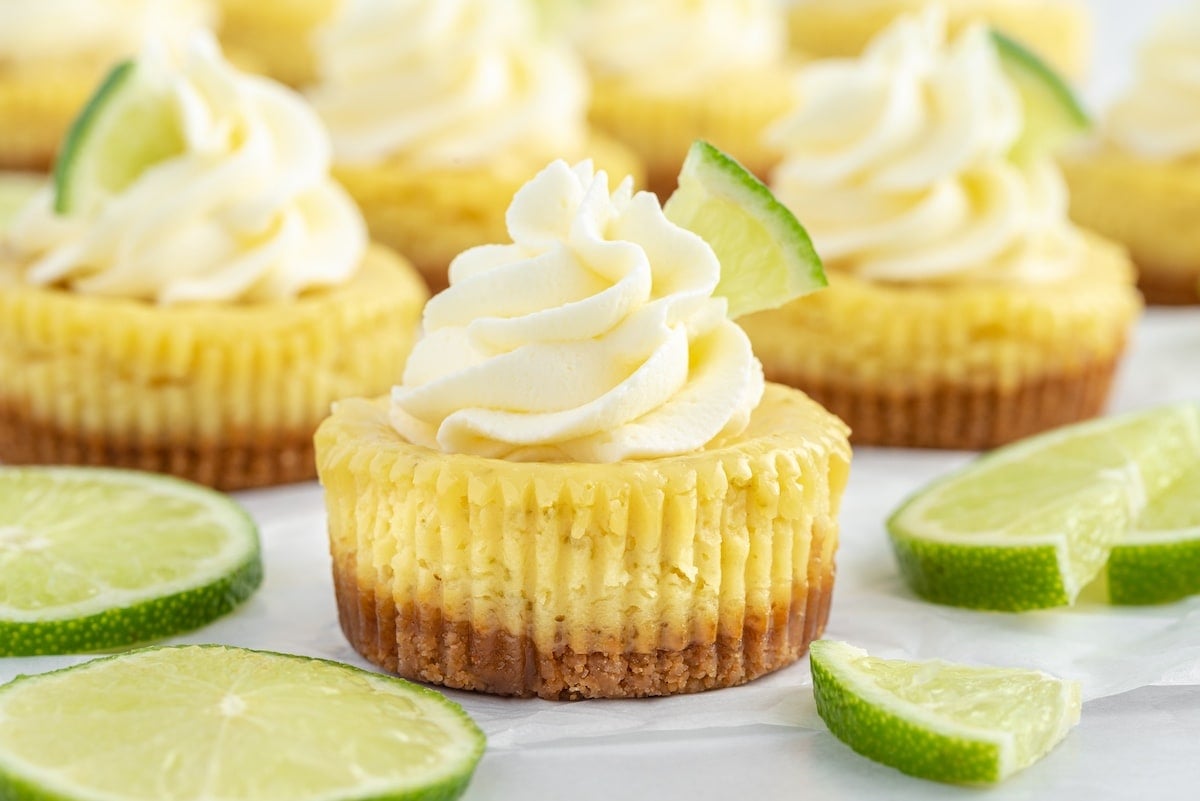 mini key lime pies with whipped cream