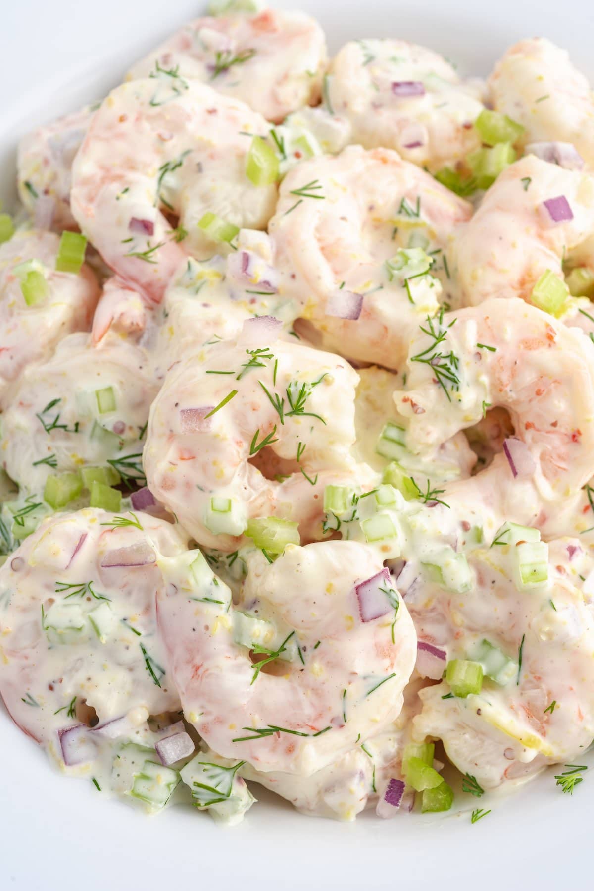 shrimp salad 