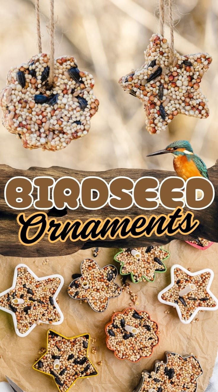 Birdseed Ornaments shaped into various shapes