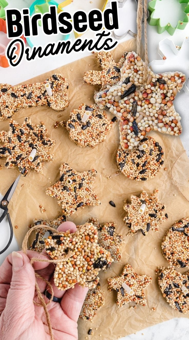 A hand holding a star shaped Birdseed Ornaments.