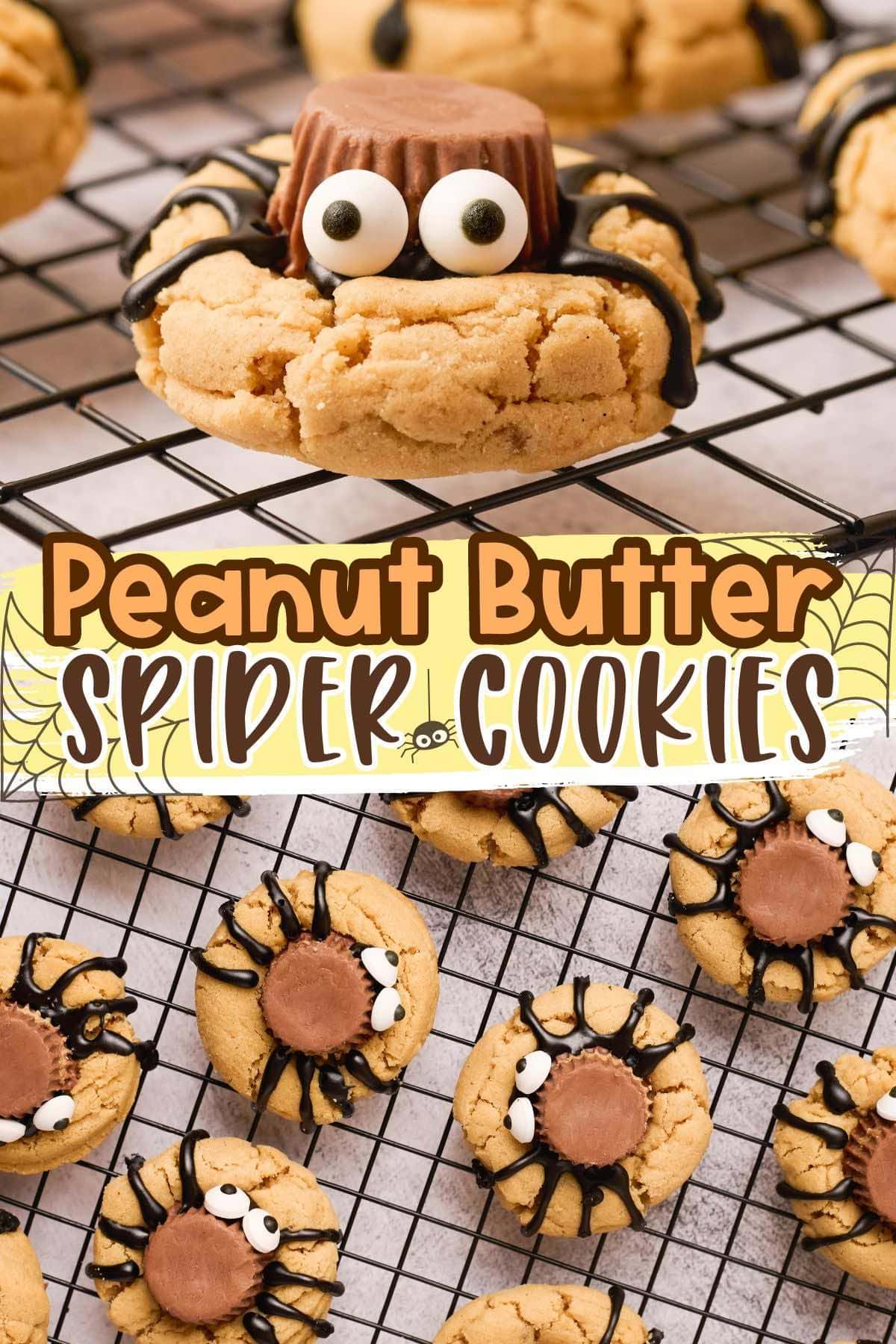 pb spider cookies pin.