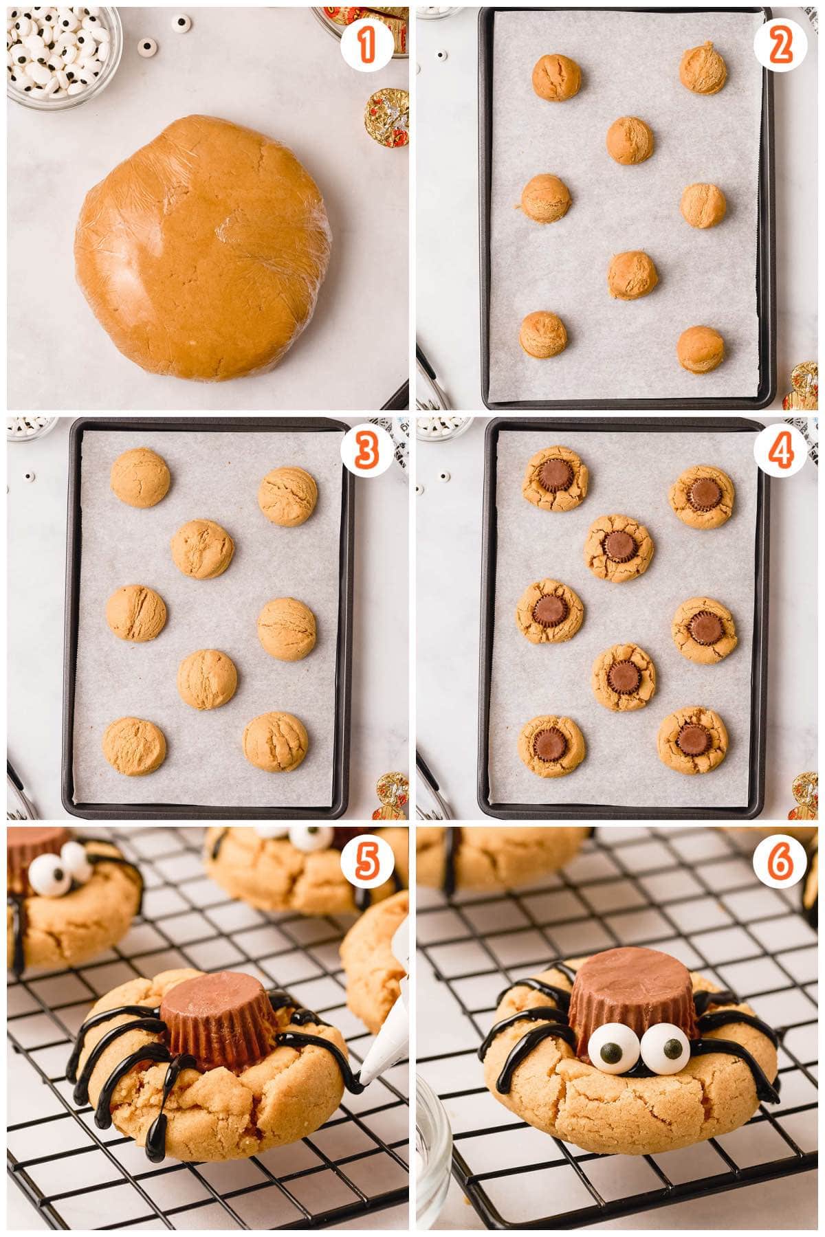 Peanut Butter  Spider Cookies process