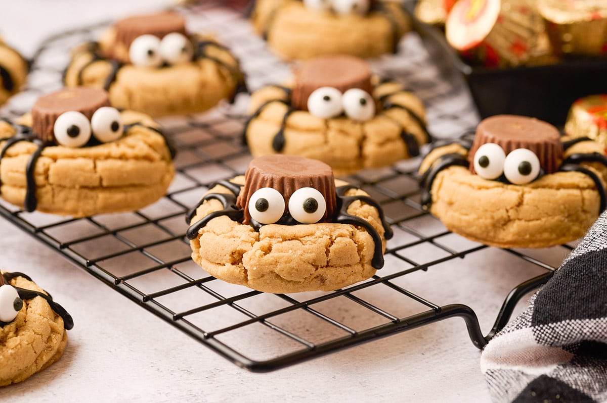 Peanut Butter  Spider Cookies on top of drying rack