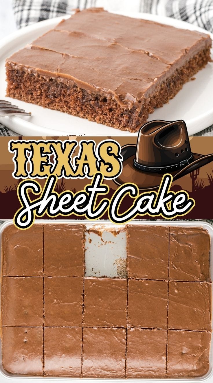A slice of Texas Sheet Cake served on a white plate. Sliced Texas Sheet Cake in a baking pan, missing a piece