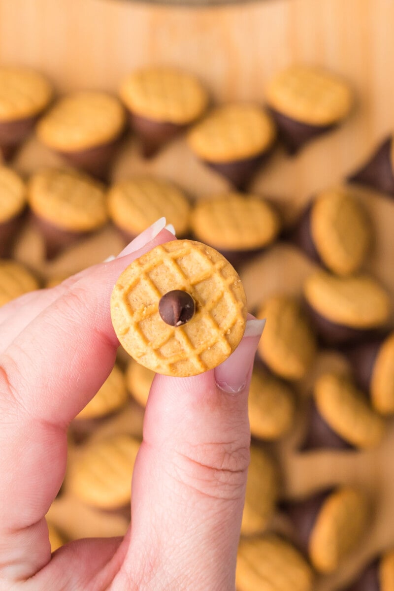 Kisses Acorn Treats step 3