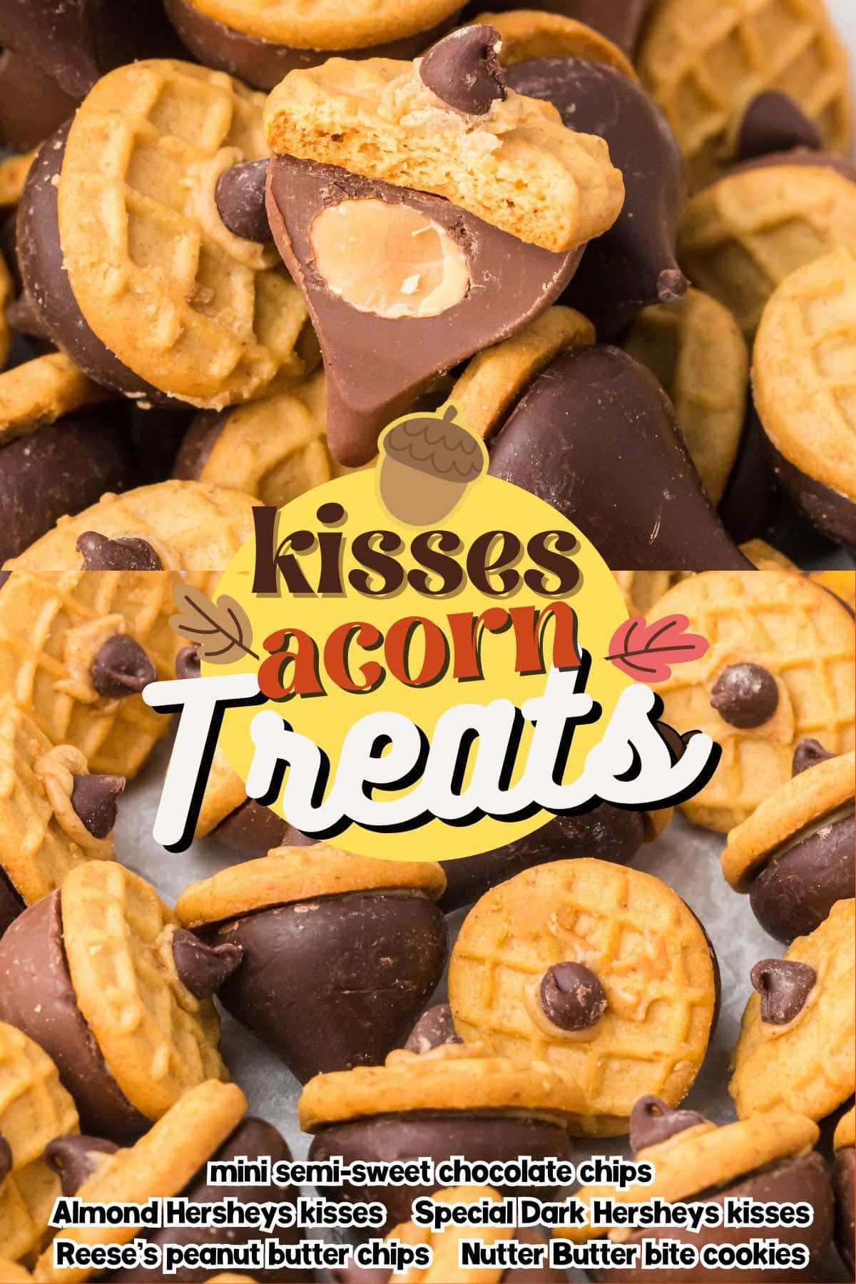 kisses acorn treats pin.