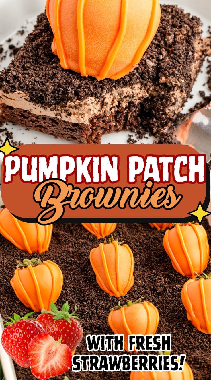 A slice of Pumpkin Patch Brownies decorated with coated strawberry