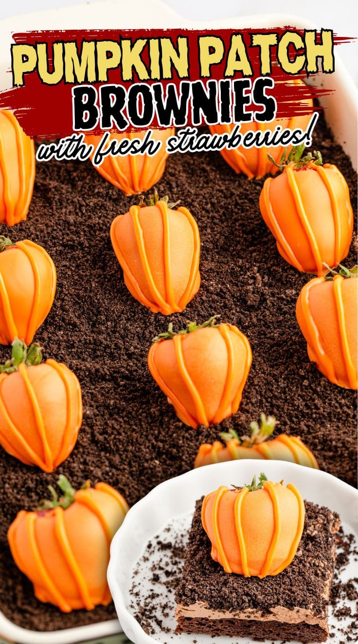 Pumpkin Patch Brownies in baking pan , decorated with cute mini pumpkin made from coated strawberries
