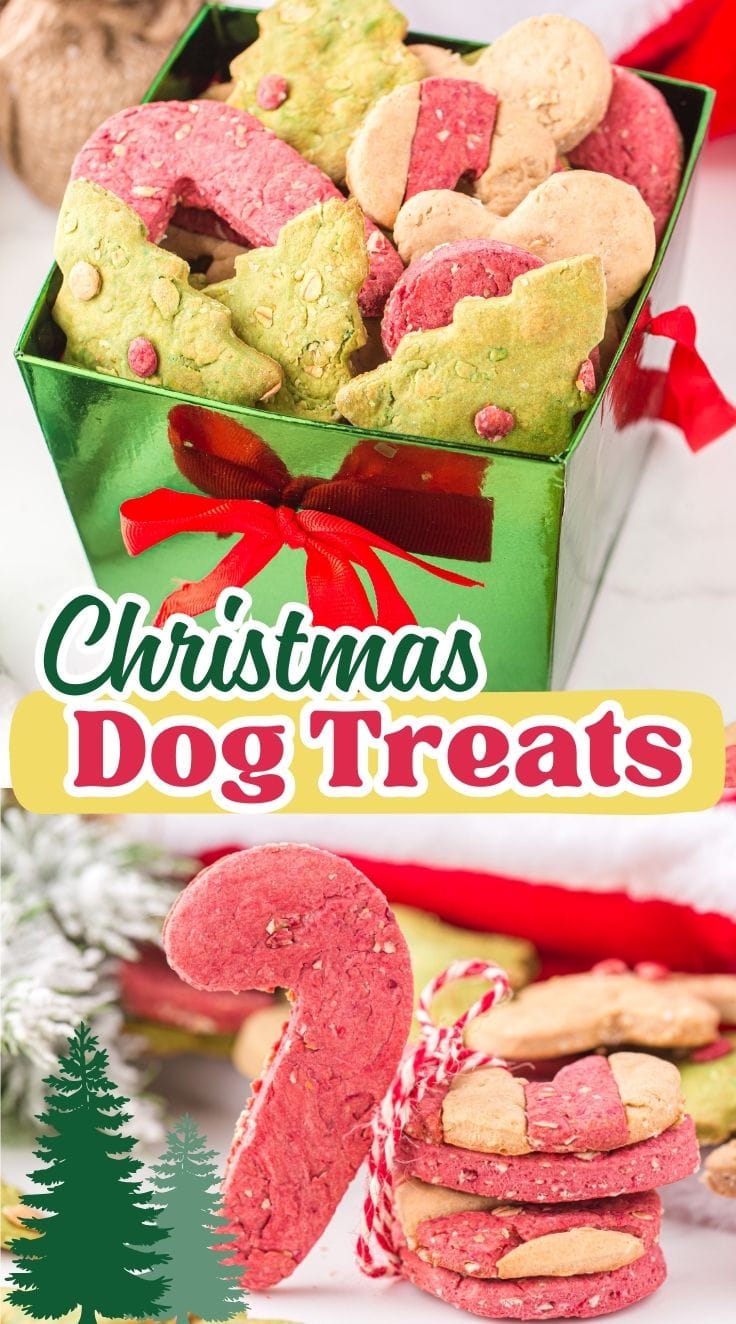 Christmas Dog Treats in a green gift box
