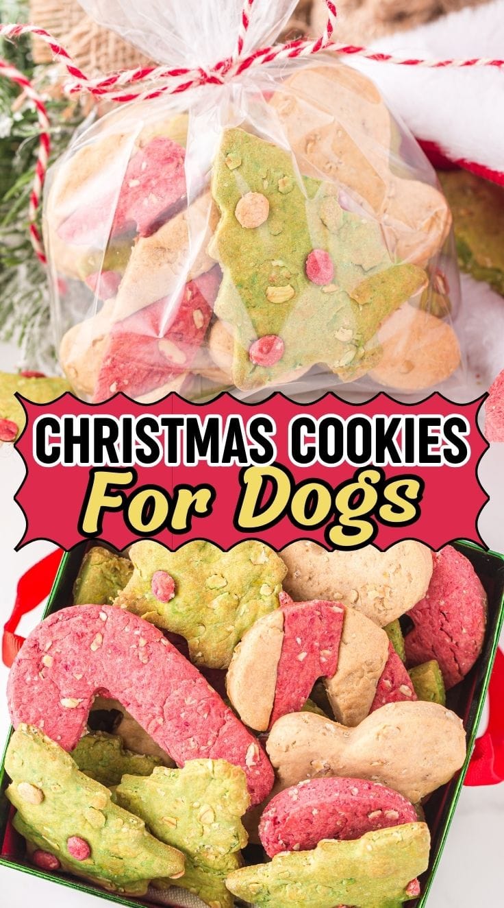 Christmas Dog Treats wrapped in a plastic pouch