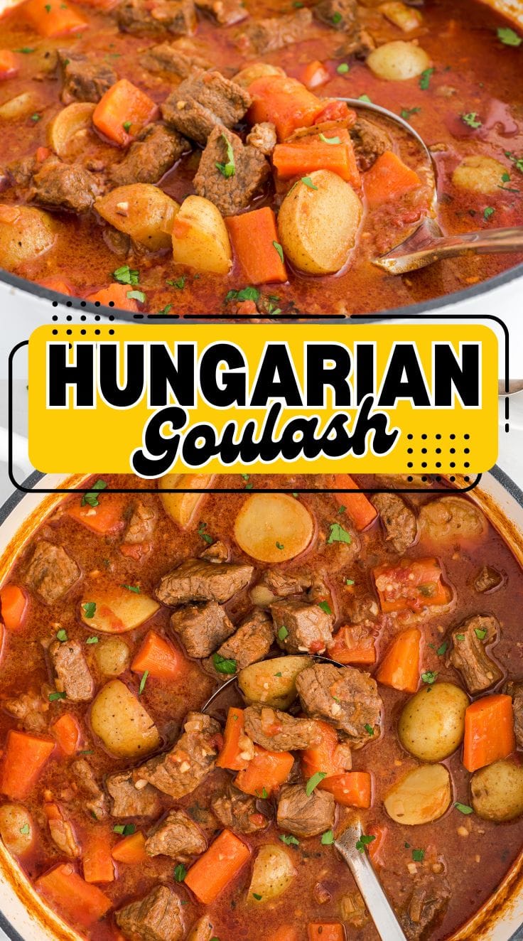 A soupl ladle scooping Hungarian Goulash from a pot