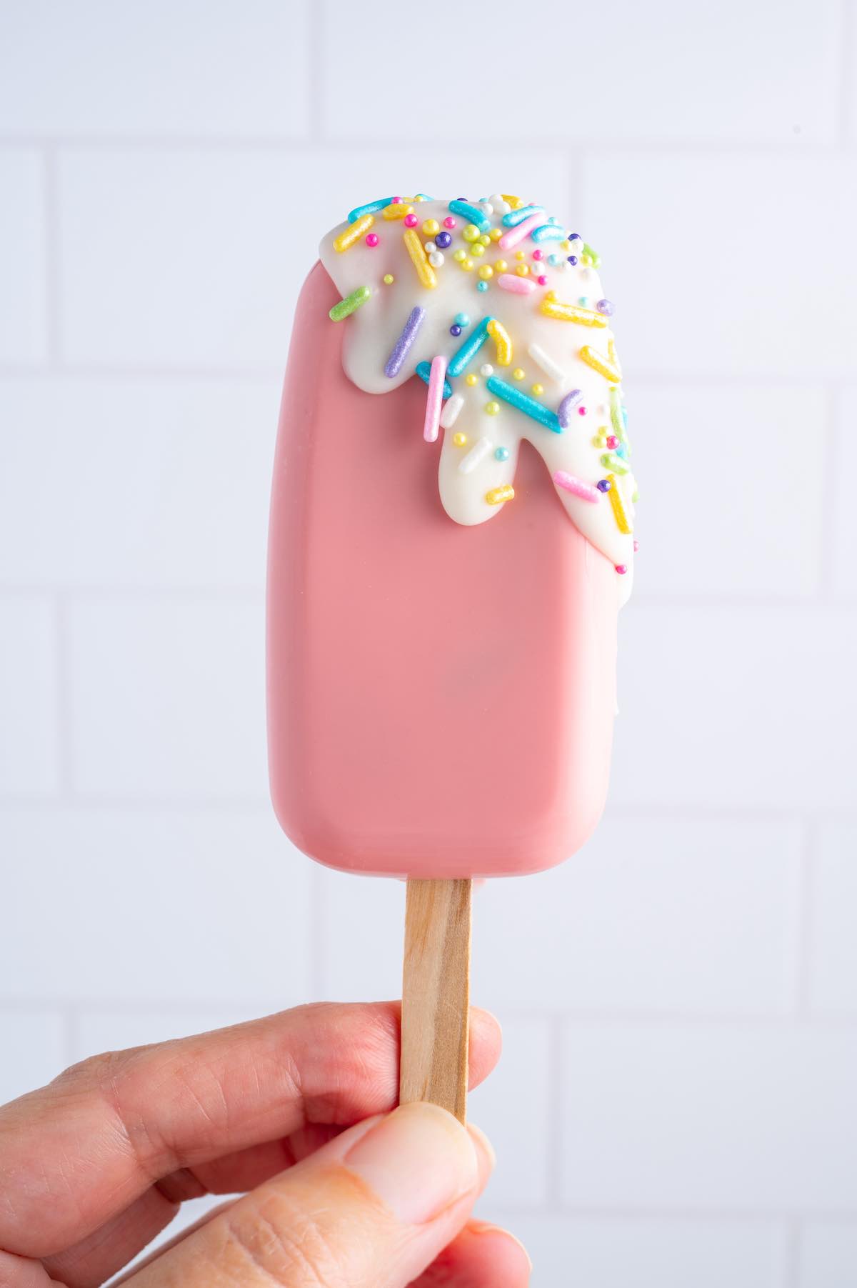 hand holding cakesicles