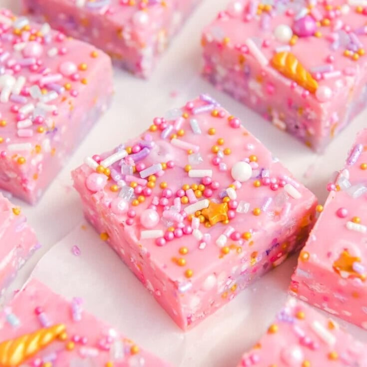 Princess Fudge featured image