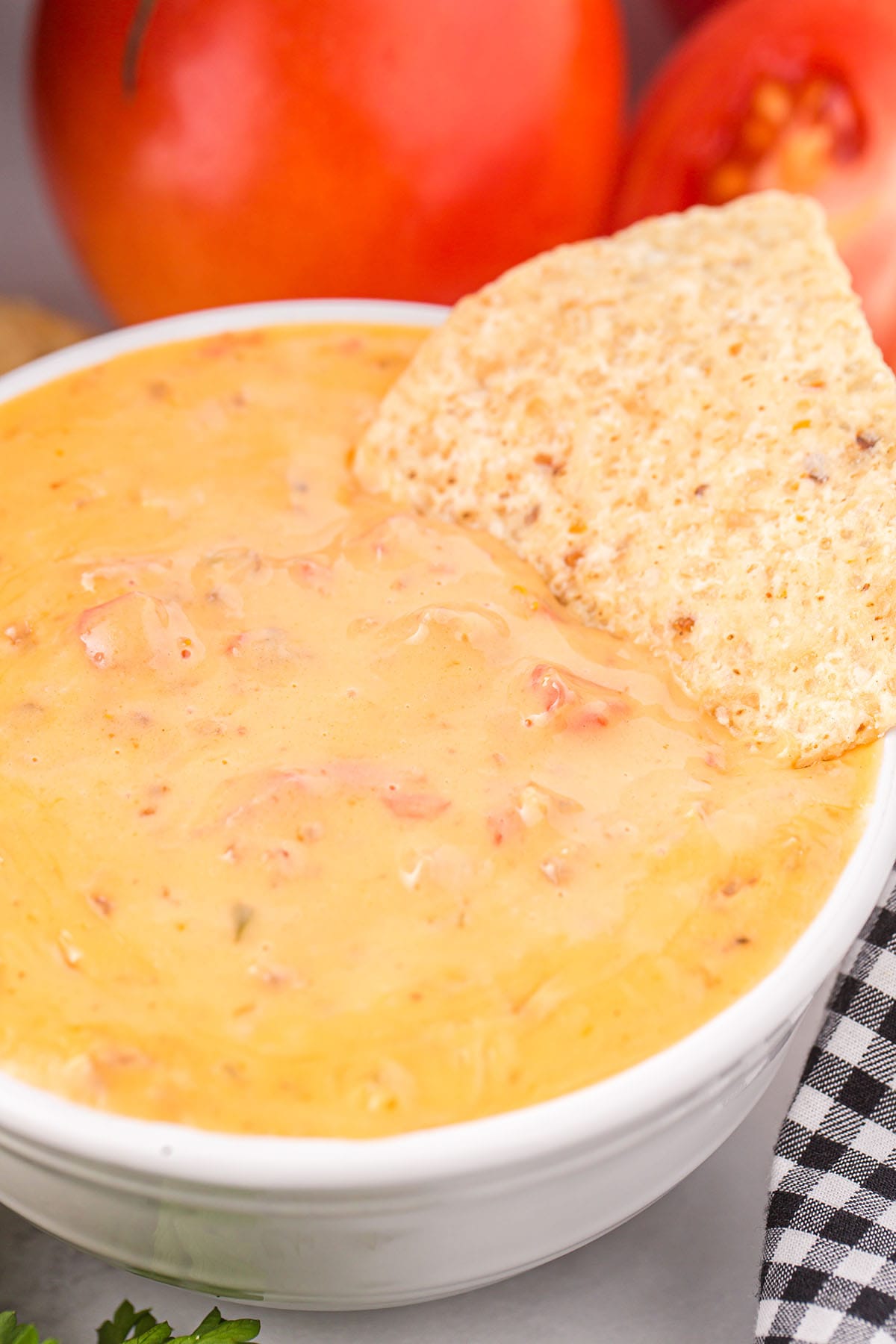 Crockpot Cheese Dip in a bowl