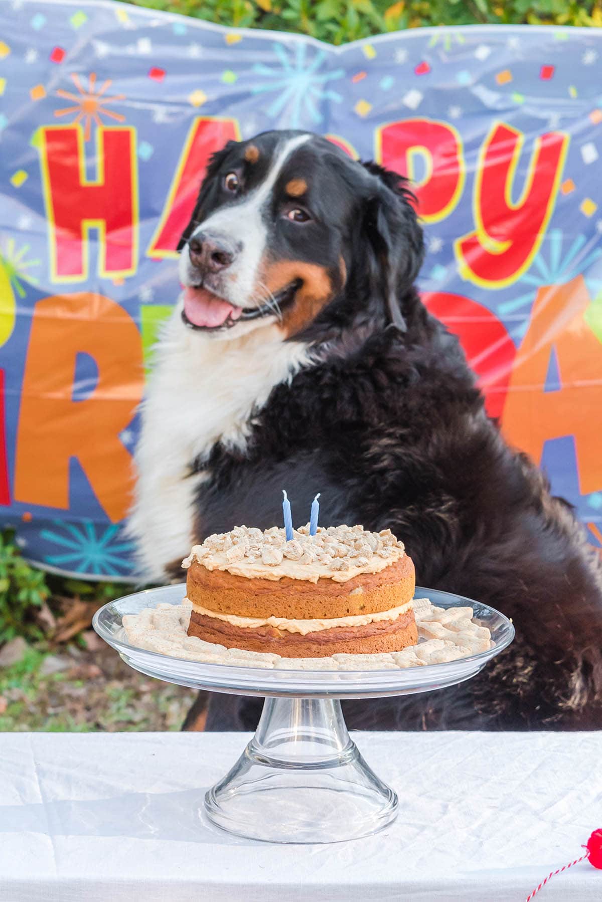 Doggie Birthday Cake with black doggy on the background