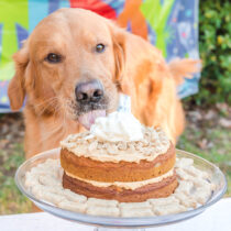 Doggie Birthday Cake featured image
