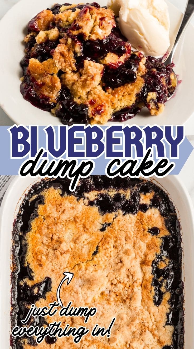 Blueberry Dump Cake with a scoop of vanilla ice cream served in a white plate