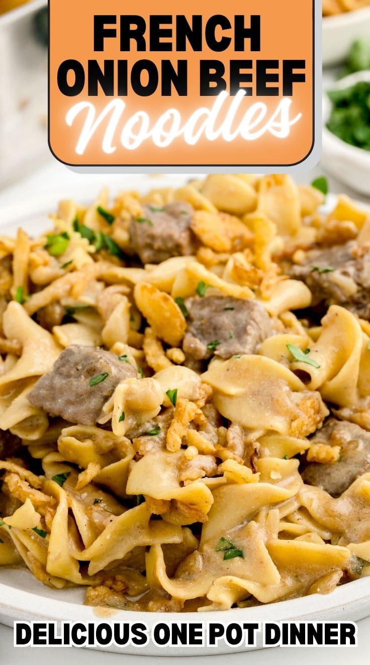 Close up of French Onion Beef and Noodles served on a plate garnished with fried onion and chopped parsley