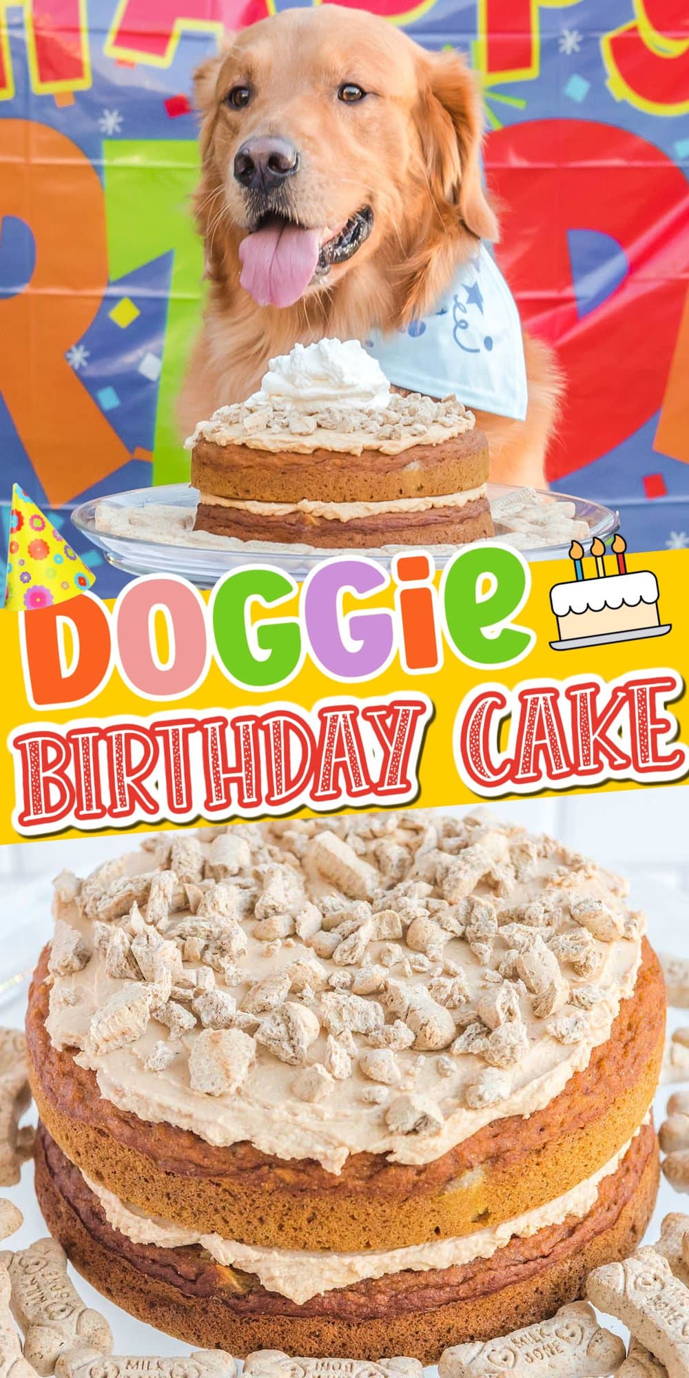 Homemade Dog Birthday Cake pinterest