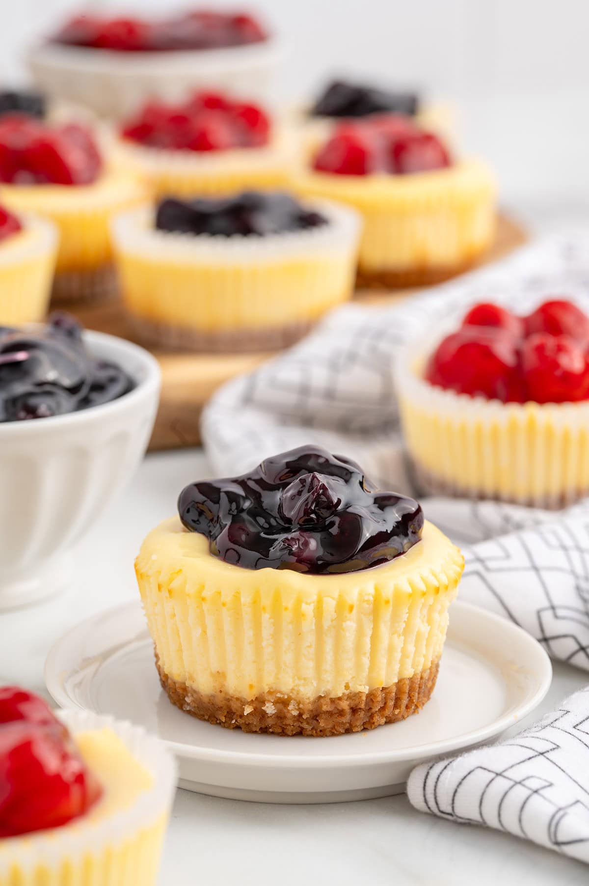 mini cheesecake with blueberry topping. 