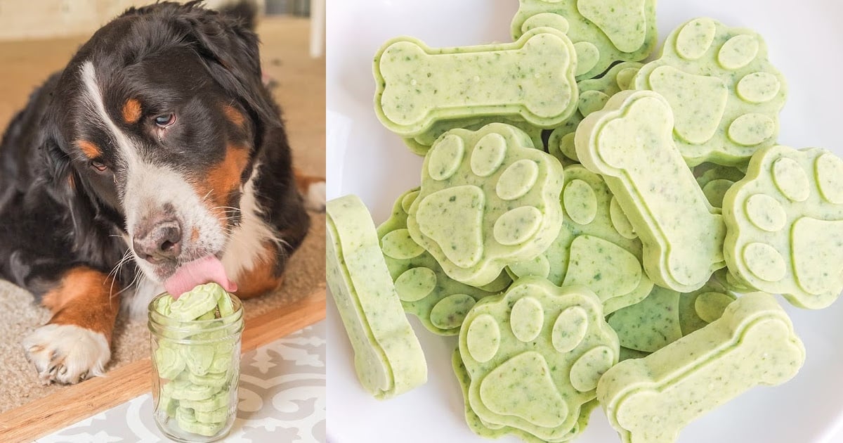 Frozen mint dog outlet treats