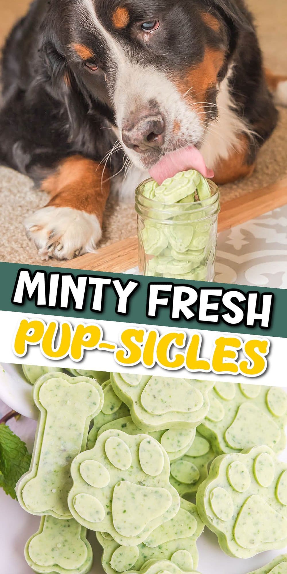 Minty Fresh Dog Pupsicles pinterest