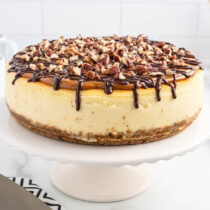 Turtle Cheesecake featured image