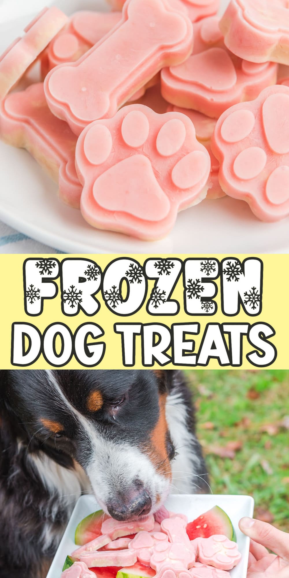 Frozen dog treats pinterest