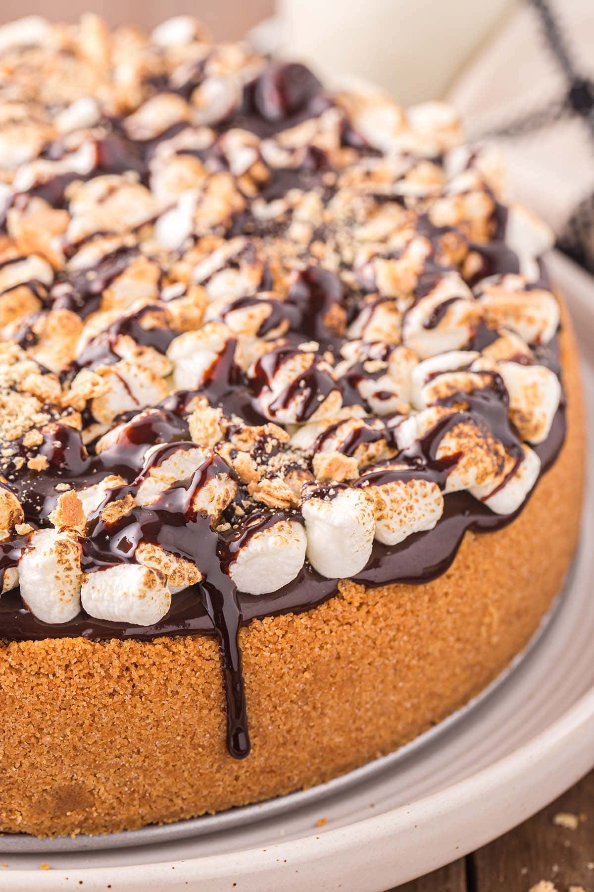 S'mores Cheesecake with toppings